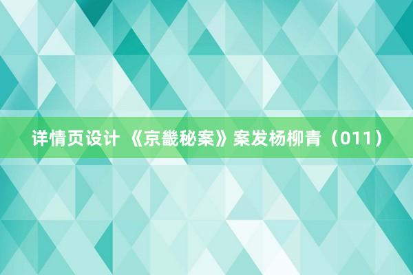 详情页设计 《京畿秘案》案发杨柳青（011）